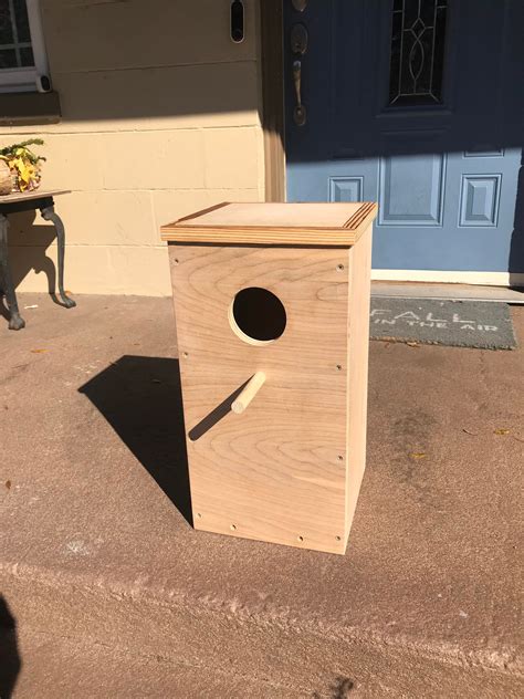 metal nest boxes for parrots|indian ringneck parrot nesting box.